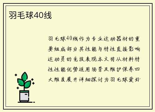 羽毛球40线